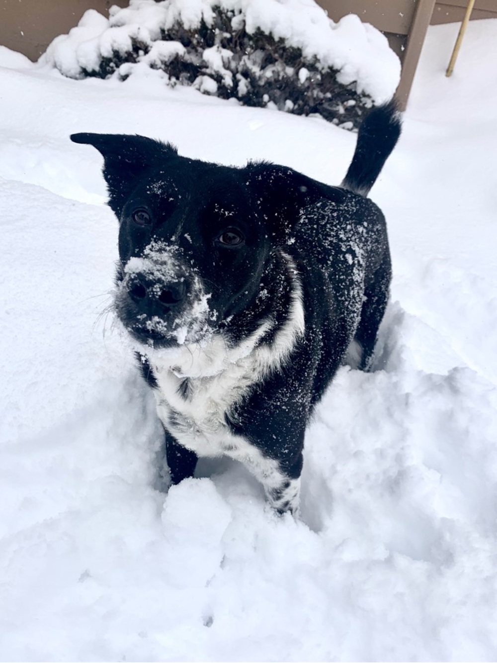 Meet your Posher, Mac